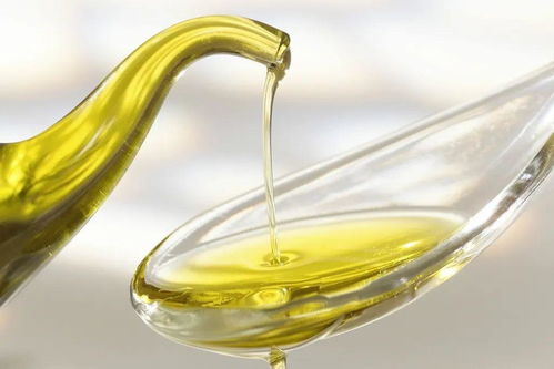 “油”然健康 营养周科普之选对食用油，守护全家‘虹膜保护云’